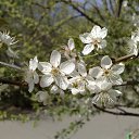 ���� ������, ������ - ��������� 25 ��� 2012 � ������ ���� ����������