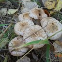 ���� �����, ������ - ��������� 5 ������� 2012 � ������ ����� ��������