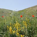 ���� ����������, ����, 75 ��� - ��������� 17 ������ 2012 � ������ �������