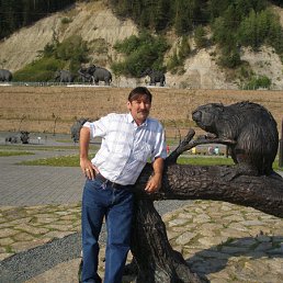 �����-��������