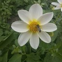 ���� �����, ����, 42 ���� - ��������� 6 ����� 2013 � ������ ���� ����������