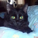  , , 35  -  12  2009   )))