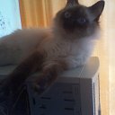 ���� ����, �������� - ��������� 22 �������� 2012 � ������ ����� �������)))�