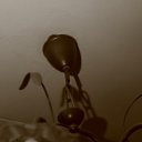 ���� �ocpucm, ������, 48 ��� - ��������� 7 ������� 2009 � ������ �07.12.2009 ���������� ������� ;-)�