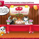  , , 48  -  7  2010   PetLove