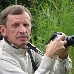 ���� ������, ������, 72 ���� - ��������� 10 ������ 2013