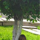  )), , 29  -  18  2012