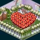 ���� ��������, ���������, 49 ��� - ��������� 29 ����� 2013 � ������ �Tropikania�