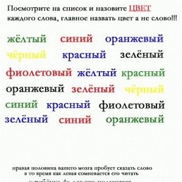 ���� ������������, ������, 44 ���� - ��������� 26 ������� 2010