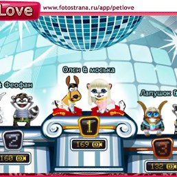 ���� ������, ������ ��������, 47 ��� - ��������� 6 ������ 2010