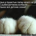 ���� Snail, �����, 40 ��� - ��������� 9 ������ 2012 � ������ ���� ����������