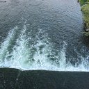 ���� �������, �������, 38 ��� - ��������� 11 ��� 2010 � ������ ���� ����� ����� �������