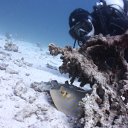 ���� ������, ������, 46 ��� - ��������� 11 ������ 2012 � ������ ���� ����������