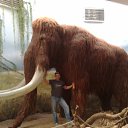 ���� Andrey, �����������, 45 ��� - ��������� 26 ������ 2011 � ������ ���� ����������