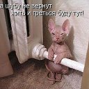 ���� Vladimir, ������, 58 ��� - ��������� 31 ������ 2013 � ������ ���� ����������