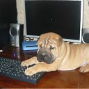 ���� ����, �������, 44 ���� - ��������� 21 ������ 2011 � ������ ���� ��������