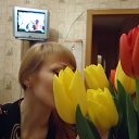 ���� ��������, ����������, 53 ���� - ��������� 24 ������� 2012 � ������ �������