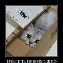 ���� ��, ������������, 39 ��� - ��������� 7 ������ 2011 � ������ ����������