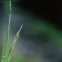 ���� �����, �����-���������, 40 ��� - ��������� 9 ���� 2010 � ������ ������ � �������� ����������