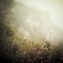 ���� K��k�, ������ ��������, 34 ���� - ��������� 10 ������� 2012 � ������ �������