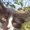 ���� ������, ���������, 55 ��� - ��������� 7 �������� 2011 � ������ ���� ����������