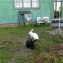 ���� ������, ������, 57 ��� - ��������� 3 ���� 2012 � ������ ���� ����������