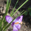  ok, --, 44  -  7  2010   