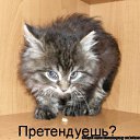 ���� �������, �����������, 42 ���� - ��������� 13 ���� 2012 � ������ �������