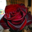 ���� ���������, ������, 58 ��� - ��������� 8 ���� 2013 � ������ ���� ����������