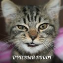 ���� ���������, ��������, 34 ���� - ��������� 19 ������ 2012