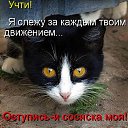 ���� ����, ������, 52 ���� - ��������� 18 ������� 2009 � ������ �������� �����
