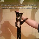 ���� �������, ������, 71 ��� - ��������� 17 ������ 2011 � ������ ���� �������� �����������