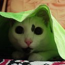 ĸ��) �� ������� ����� ��� ������������