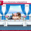  , , 36  -  22  2011   PetLove