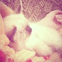 ���� �������, ��������� - ��������� 26 ������ 2013 � ������ ����������))�