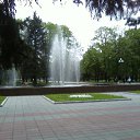  !,  -  11  2010   .