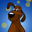  , , 52  -  30  2011   PetLove