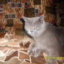 ���� ����, �������, 26 ��� - ��������� 23 ������ 2013 � ������ ���� ����������