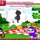  , , 24  -  2  2010   PetLove