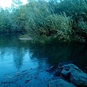 ���� ����� 22russ., ��������, 43 ���� - ��������� 16 ������ 2012 � ������ ���� ����������