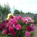 ���� �����, ������ - ��������� 26 ���� 2012 � ������ ���� ����������