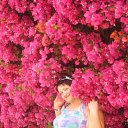 ������� ������� 2012 �� ������� ���� ߻