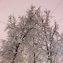 ���� ������, ������, 47 ��� - ��������� 4 ������� 2013 � ������ �������� ������