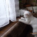 ���� �����, ������� �������� - ��������� 2 ���� 2013