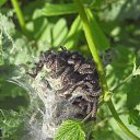 ���� ����, ������, 45 ��� - ��������� 27 ���� 2010 � ������ ���� ����� �������