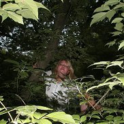 �����, 53 ����, ������