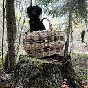 ���� ������, �����-���������, 53 ���� - ��������� 15 ����� 2011 � ������ ���� ����������