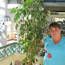 ���� ���������, ������ ��������, 49 ��� - ��������� 30 ������ 2012 � ������ ���� ����������