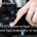 ���� ��������, ��������������, 57 ��� - ��������� 12 ������� 2009 � ������ �����������