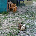 ���� Viktor, ������, 59 ��� - ��������� 24 ����� 2013 � ������ ���� ����������